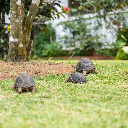 Ixora Villa Anse Royale Kültér fotó