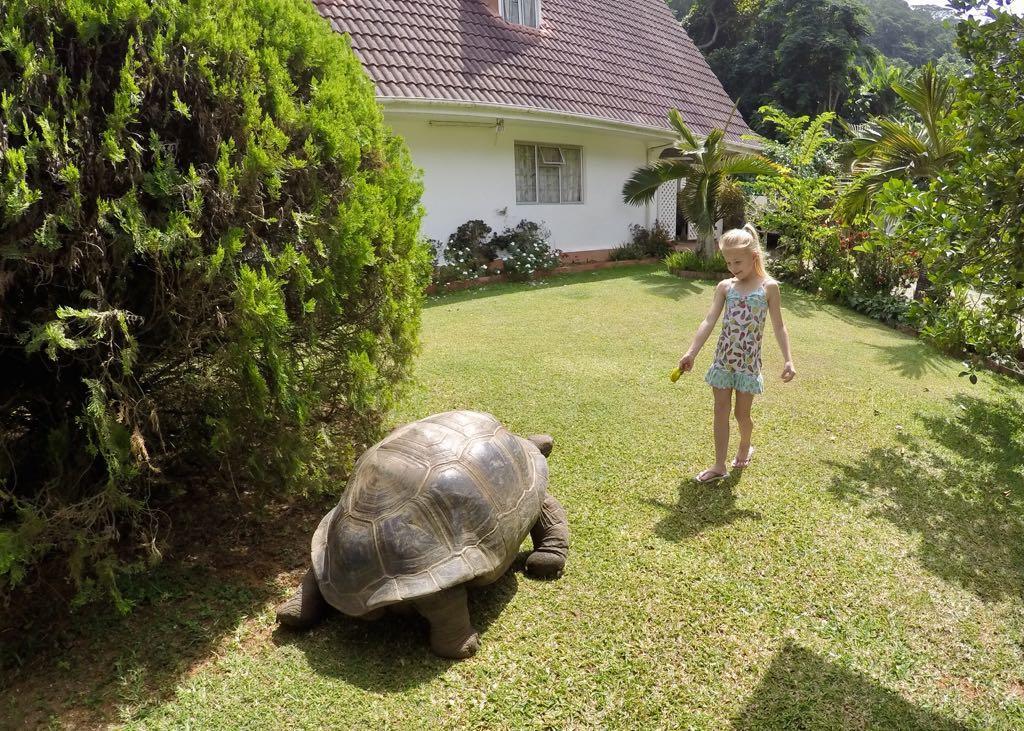 Ixora Villa Anse Royale Kültér fotó